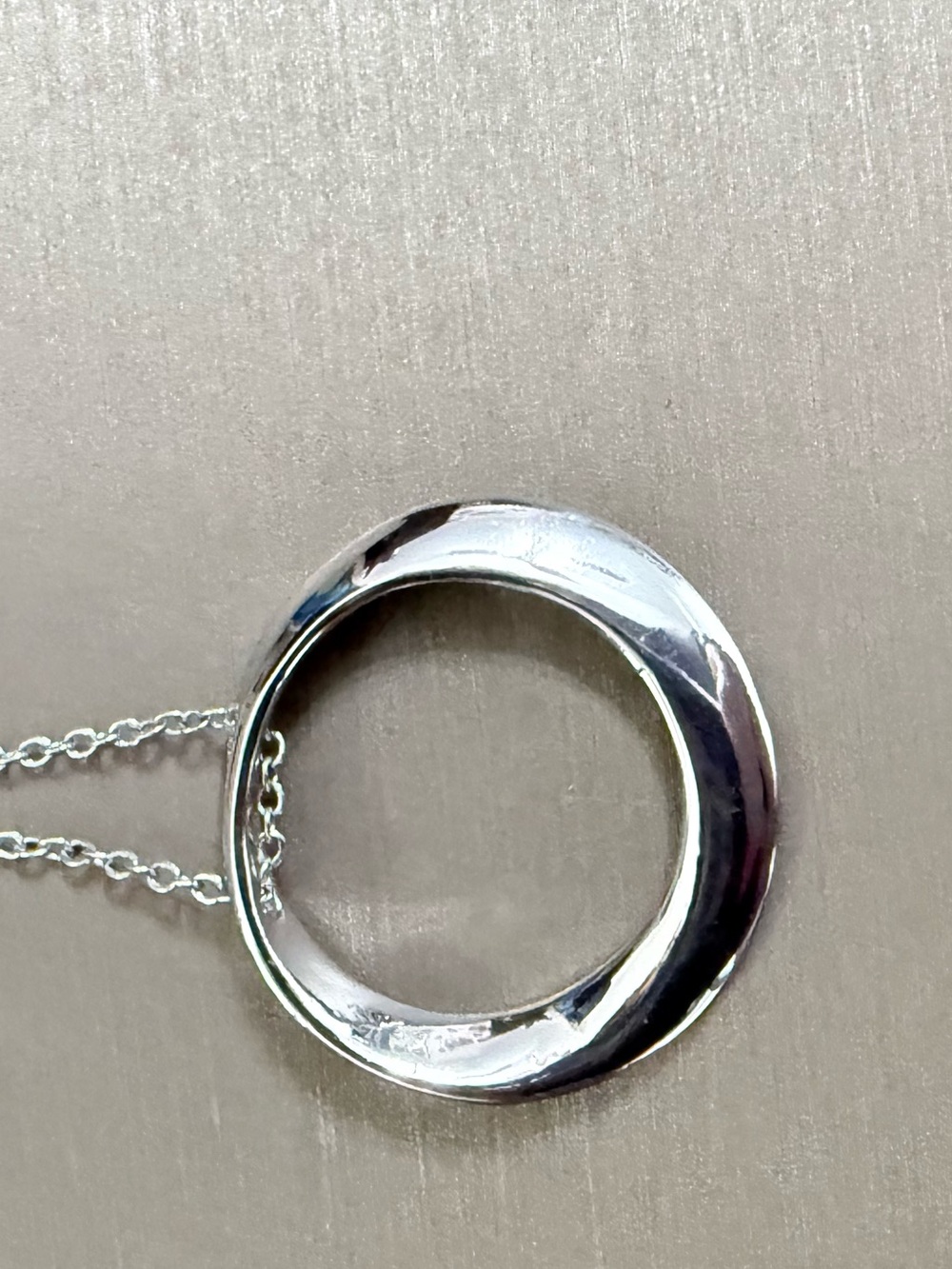 Express Circle Necklace